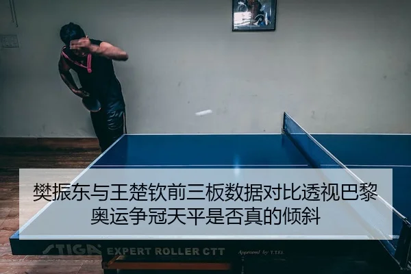 樊振东与王楚钦前三板数据对比透视巴黎奥运争冠天平是否真的倾斜